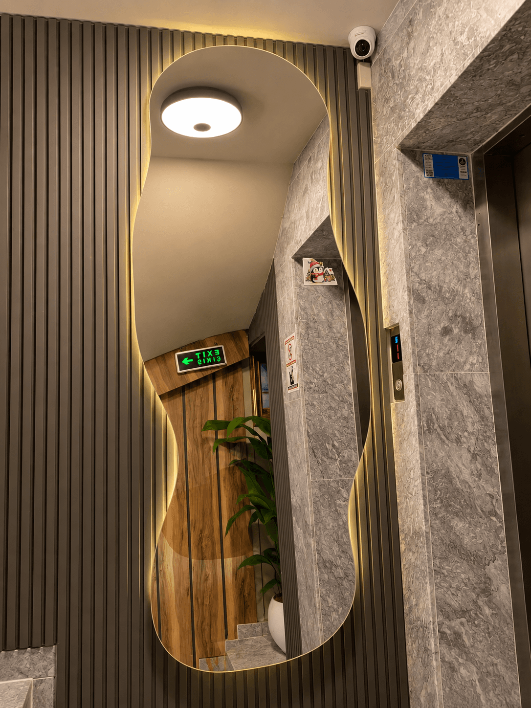 Aymira Suite Hotel otel giriş ve resepsiyon alanı, fotoğraf 11
